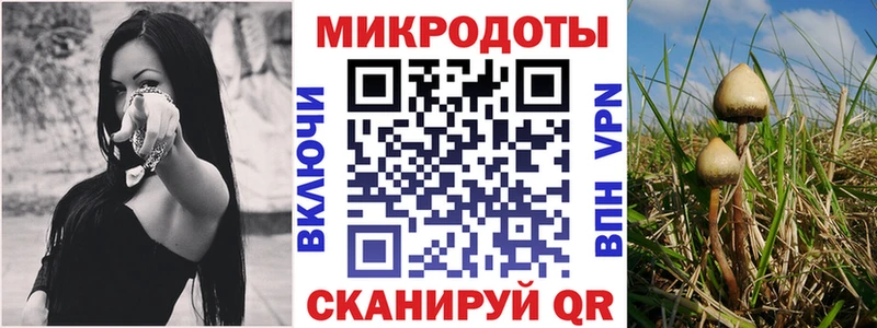закладки  Высоцк  Галлюциногенные грибы мицелий 